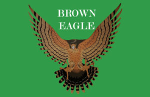 Brown Eagle