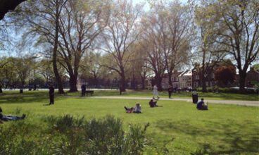 Ducketts Common